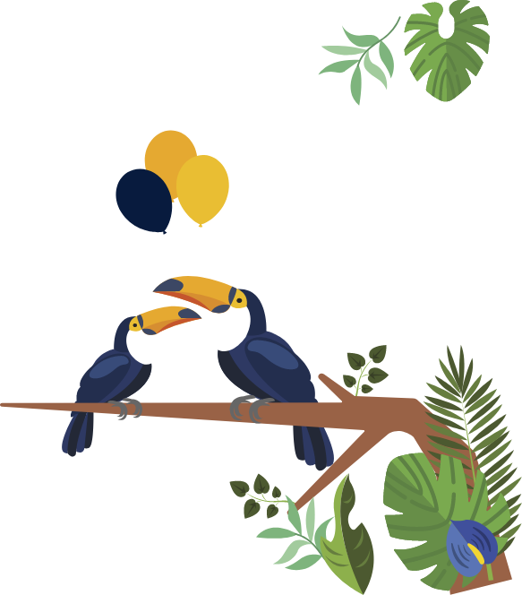 toucan image