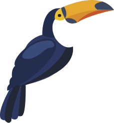 toucan image
